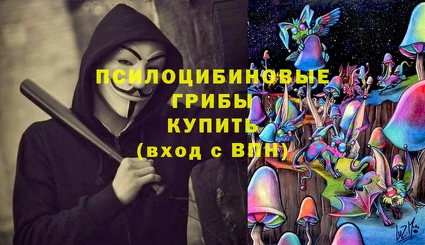 jwh Дубна