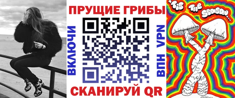 Псилоцибиновые грибы мухоморы  магазин  наркотиков  Заинск 